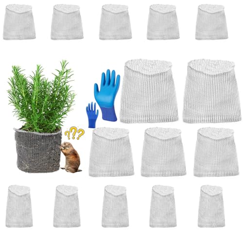HAORESULT 15 Packs Gopher Baskets 1 Gallon 3 Gallon 5 Gallon Size Stainless Steel Metal mesh to Protect Plant Root from Gophers Moles and Voles