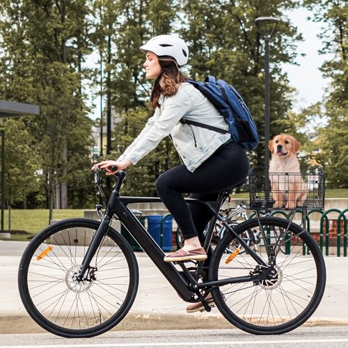 PINNAMAX Fahrradkorb aus Metall,Klappbar verstellbar, schwarz