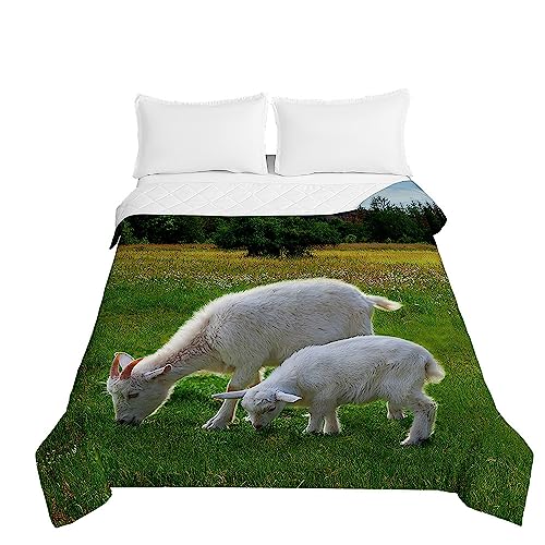 Odot Colcha Bouti de Verano, 3D Pastos Estampado Suave Microfibra Multiusos Cubrecama Lavable Acolchada Edredón Manta para Cama de Infantil Individual Matrimonio (150x200cm,Oveja5)