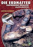elaphe dione  Die Erdnatter: Pantherophis obsoletus (Elaphe obsoleta) (Buchreihe Art für Art Terraristik)