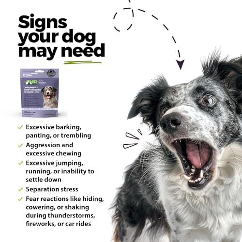 Image of ANP Premium Organic Hemp Oil Calming Chews for Dogs - No Animal Proteins Separation Anxiety & Stress Relief - Clinically Studied KSM-66 Ashwagandha - Promotes Relaxation, Improves Sleep - Made in USA