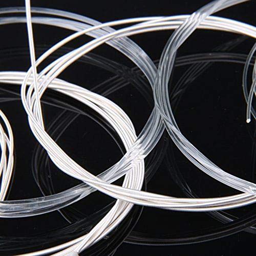 Geshiglobal Lot de 6 cordes de rechange en nylon pour guitare classique, mi, la, ré, sol, si, mi - Les Beatles, Paul McCartney, John Lennon, RIngo Starr, George Harrison Geshiglobal Lot de 6 cordes de rechange en nylon pour guitare classique, mi, la, ré, sol, si, mi – Image 6