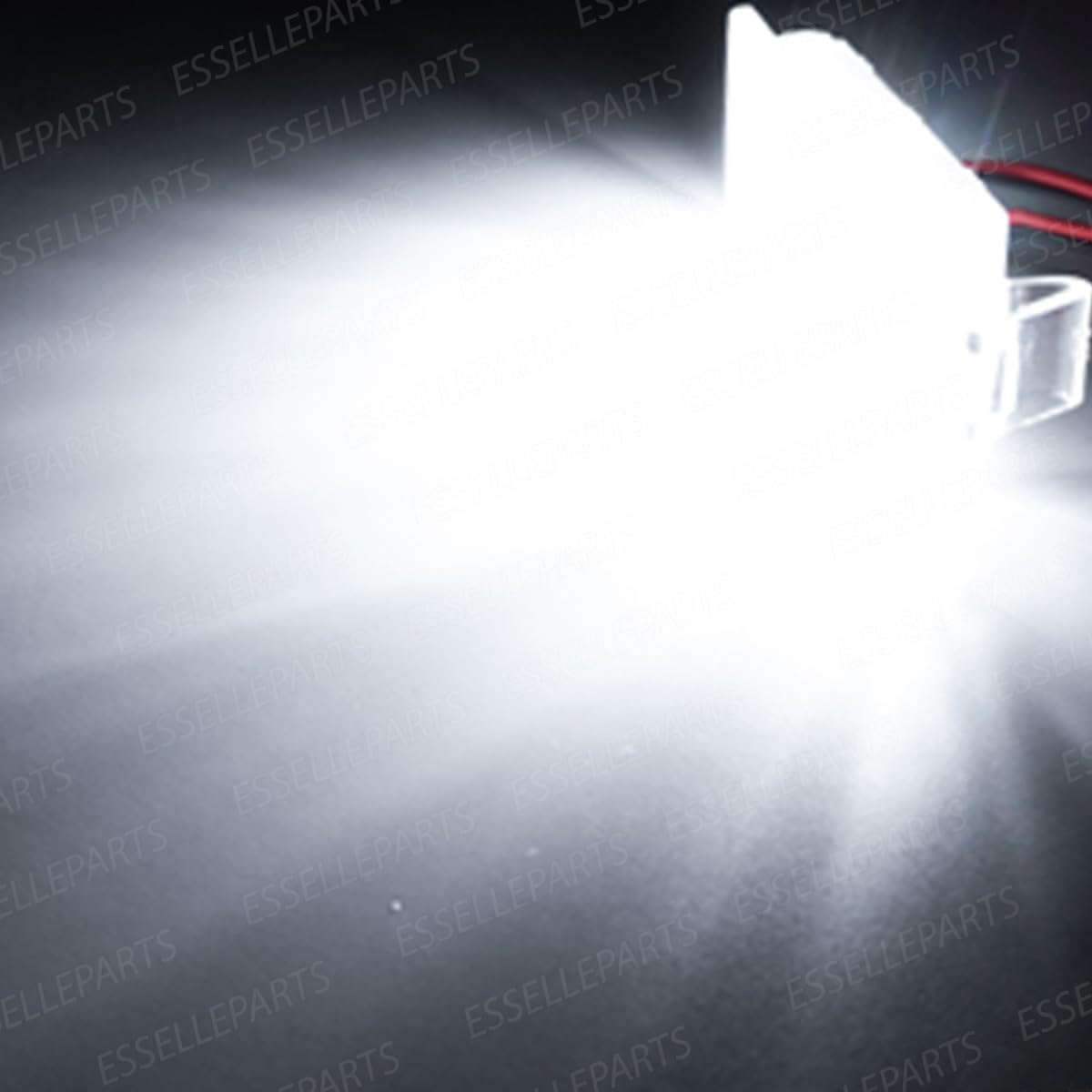 Placchette Luci Targa LED Compatibili con Fiat Panda 312, Panda 169, Pandina 18 SMD CANBUS 6000K Bianco Ghiaccio Plug & Play