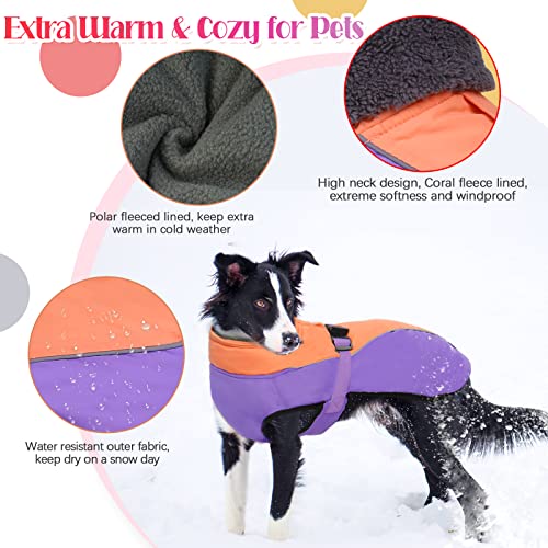 Iecoii Extra Warm Dog Coat Reflective Adjustable Dog Jacket Dog Winter Coat With Buckle Fleece Turtleneck Dog Jacket For Cold Weather Soft Winter Coat For Small Medium Extra Large Dogs #TOP1