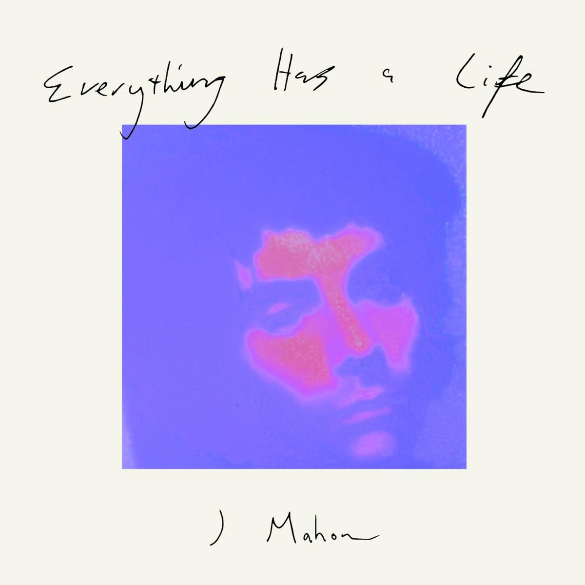 EVERYTHING HAS A LIFE [12" VINYL]