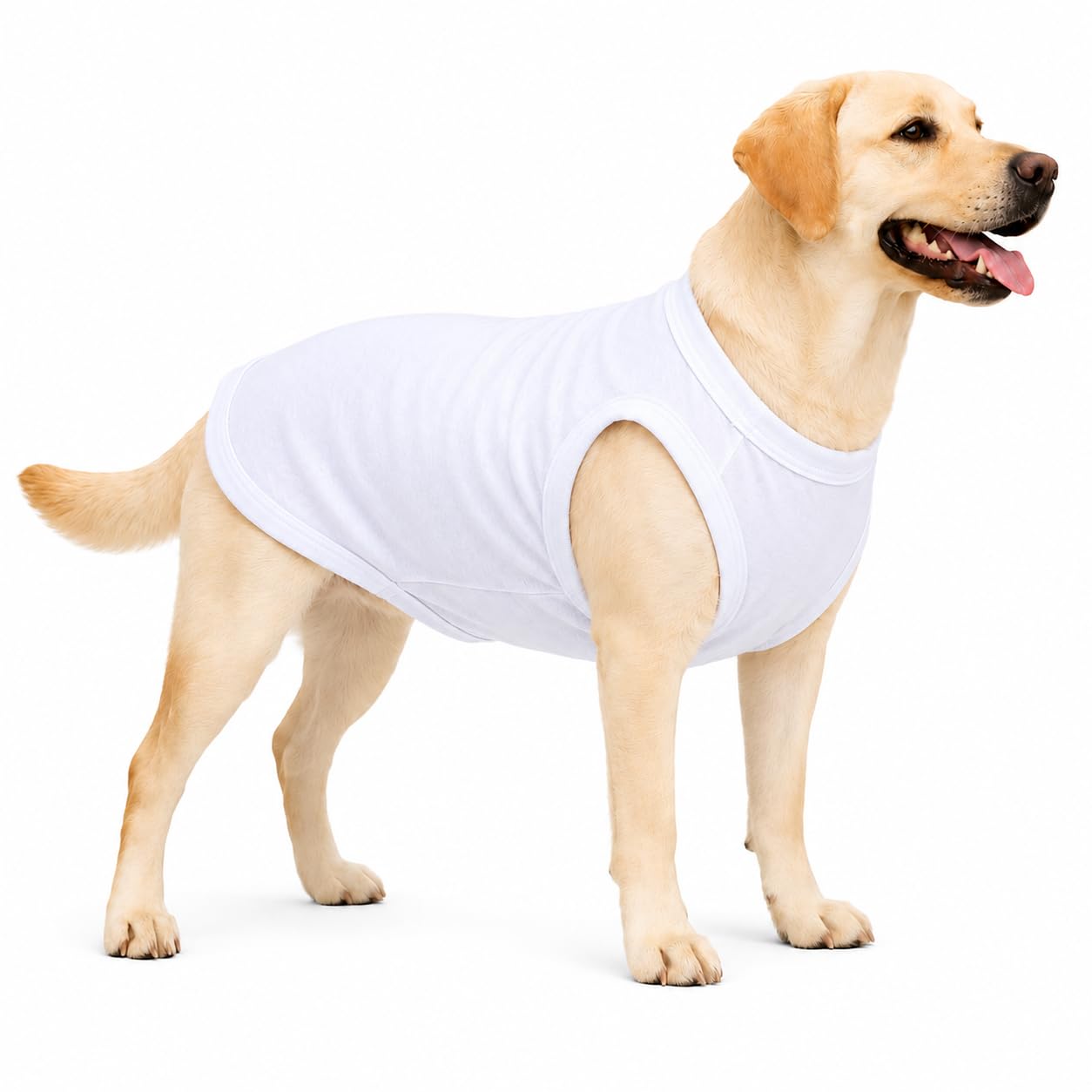 Costume pour animal domestique Lovelonglong ajustable pour chien moyen et grand