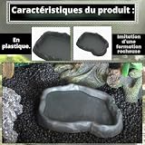 DINGFENG 2 gamelles effet pierre 15,5 x 12 cm pour tortue photo 3