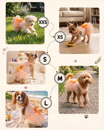 Image of CuteBone Cream Daisy Pet Dress for Small Dogs, Cats - Double-Layer Ruffled Skirt - Orange Satin Bow - Spring Daily, Garden Dress