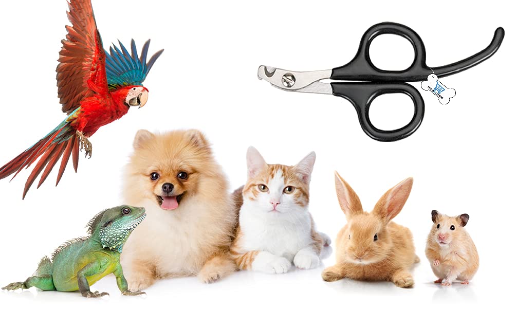 THE DDS STORE Pet Nail Clippers, Update Version Cat & Kitten Claw Nail Clippers for Trimming, Professional Pet Nail Clippers Best for a Cat, Puppy, Kitten & Small Animals (Color May Vary) (B09B27QK1Q) Amazon Price History, Amazon Price Tracker