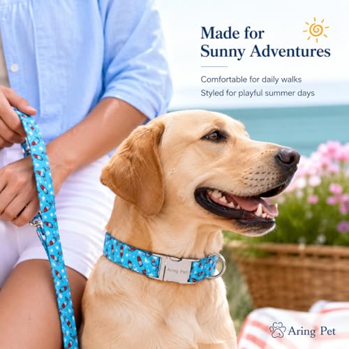 Image of ARING PET Summer Dog Collar for Small Medium Large Boy Dogs-Blue Ice Pop M | Cute Male Heavy Duty Pet Collars with Metal Buckle for XS S M L XL Dogs, for Beach Trips Lake Camping Seaside Outdoor Walk