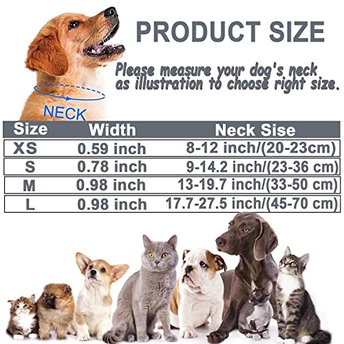 Dog Collar, Reflective Adjustable Basic Dog Collar with Soft Neoprene Padding, Durable Nylon Pet Collars for Puppy Medium Dogs - Image 3