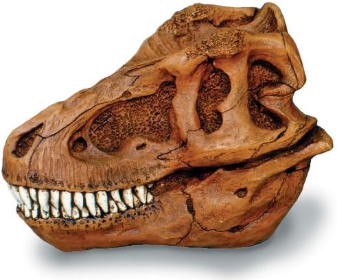 T-Rex Skull Replica - Small
