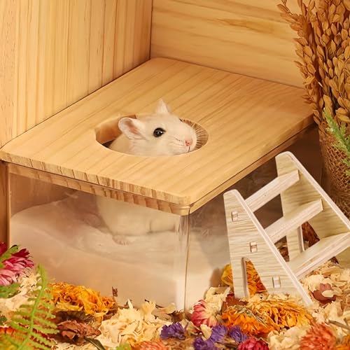 Haustier Hamster Badezimmer, Hamster Sandbad mit Leiter und Schaufel, Hamster-Sandbad-Container Hamster Zubehör Transparent Acryl Dusch für Goldhamster Zwerghamster Mäuse oder Kleine Haustiere