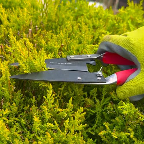 Tijeras Compactas Spear & Jackson para Topiaria y Bonsái miniatura 5