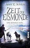 Cover zum Buch Zeit der Eismonde: Das dunkle Mal