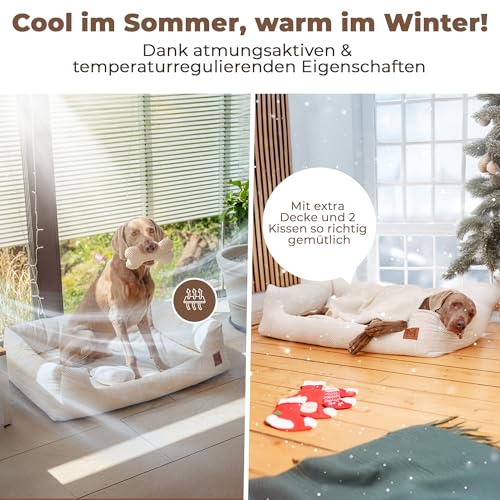 Manno Hundebett mit Memory Foam für mittelgroße & Grosse Hunde [Gratis Decke & 2 Kissen] Kuscheliges Bett für deinen Hund mit waschbarem Bezug | Hundekissen, Dog Bed, wasserabweisend & rutschfest (L)