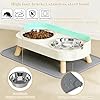 Elevated Cat Bowls with Food Mat, Splash Proof Anti Vomiting Raised Cat Food and Water Bowl Set, 2 Stainless Steel Dishes for Cats and Puppy, Pet Bowl for Indoor Cats White #3