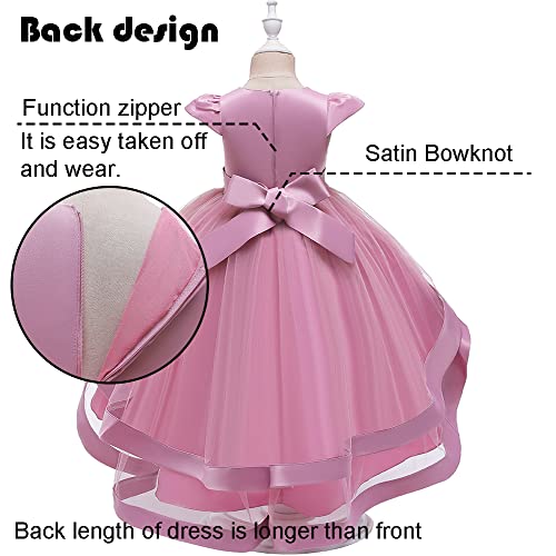 Girl Dress Embroidery Birthday Sleeveless Wedding Trail Puffy Tulle Layer Skirt Hem3