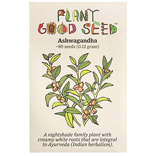 Ashwagandha Root Seeds (~80): Non-GMO, Heirloom, Open Pollinated Seeds from The United States