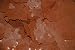 1 lb. Ken's Premium Brine Shrimp Flake