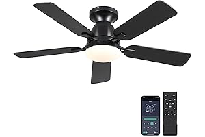 Low Profile Ceiling Fan with Lights Remote/App Control