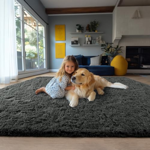 Chicrug Soft Area Rugs for Bedroom Living Room Plush Fluffy Rug 7x10 Feet, Shag Furry Area Rug Carpet Non Shedding for Nursery Children Kids Girls Room Home Decorative, Dark Grey