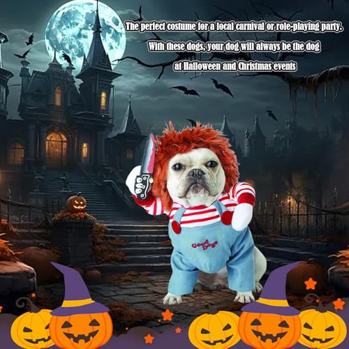 Halloween Kostüme für Hunde, Gruseliges Hundekostüm für Halloween-Partys, Lustige Verkleidung für Haustiere, 1 Set (M)