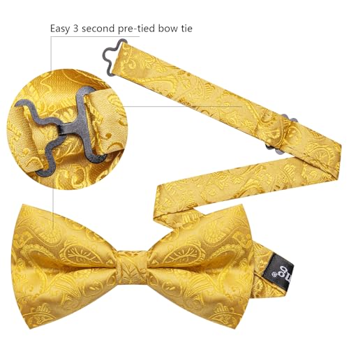 Image of YOHOWA Mens Bow Tie Set Paisley Pre-tied Bowties Adjustable with Handkerchief Cufflinks Gold Ring Set Wedding Prom Party