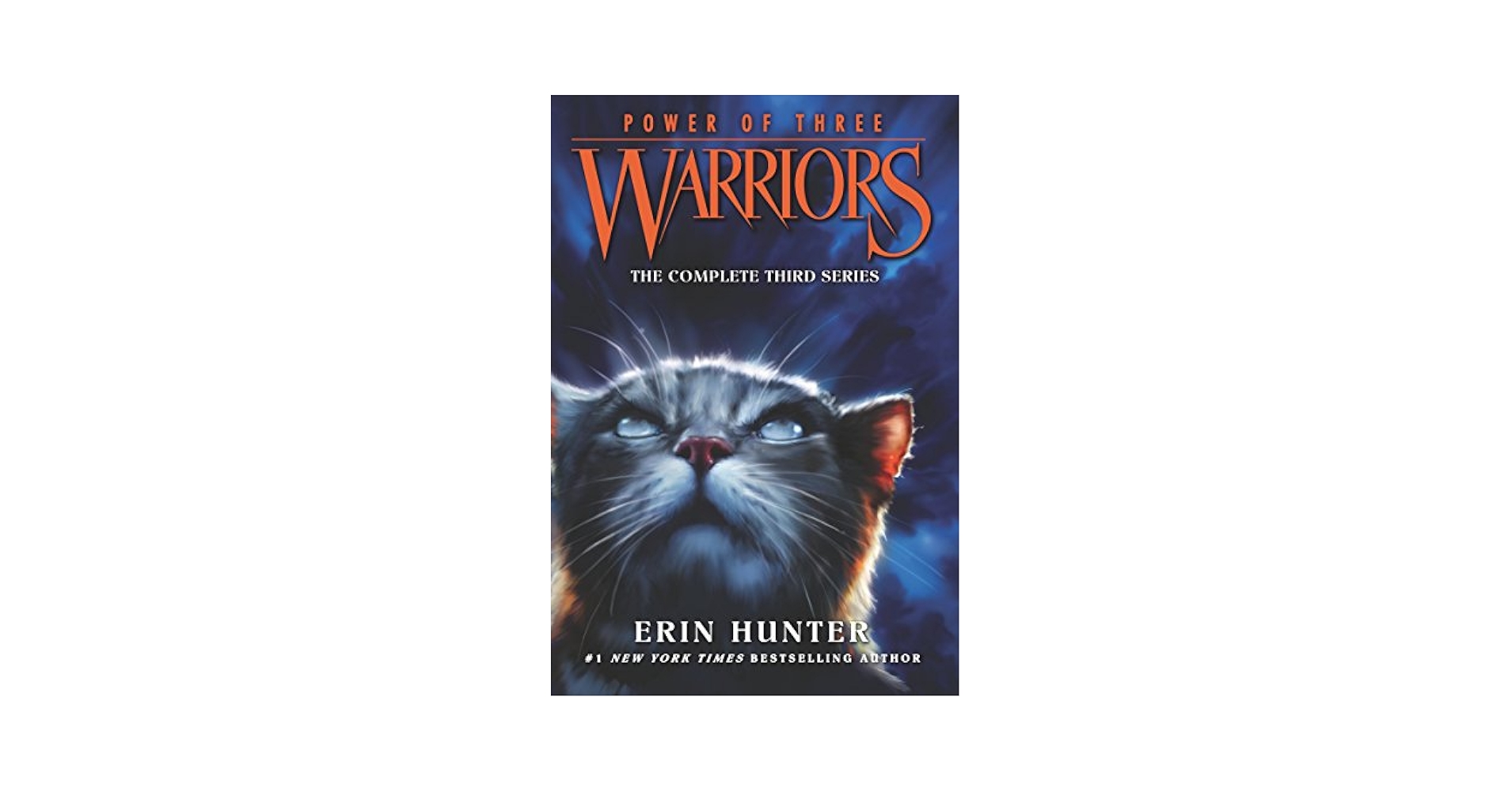 Warriors: Power of Three 6 6冊セット Warriors: Power of Three Box Set: Volumes 1 to 6 - by Erin