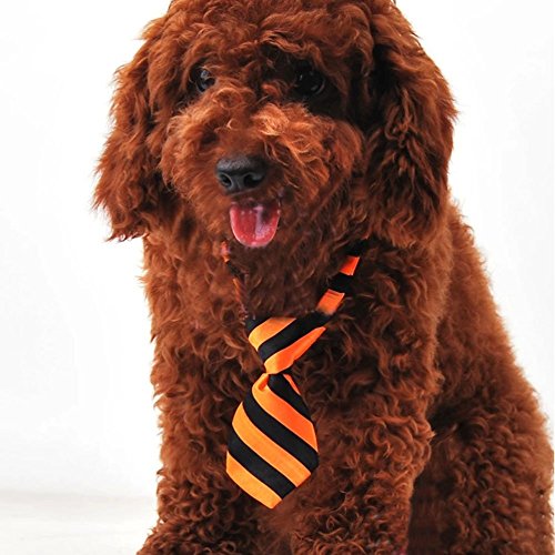 EOM Selected Adjustable Dog Bow Tie Puppy Pet Costume Collar Stripe Bow Tie Dogs Cats Puppy Tie Neck Tie - Perfect for Wedding Tie Party Accessories (Dog Necktie-Orange Yellow/Black Stripe)