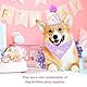 KASESSS 3 Stück Hunde Geburtstag Hut Bandana Set, Hundegeburtstagspartyzubehör, Einstellbar Hundegeburtstagspartyhut, Niedliche Spitze Haustier Glitzerndes Kleid für Kleine Mittlere Hunde, Lila