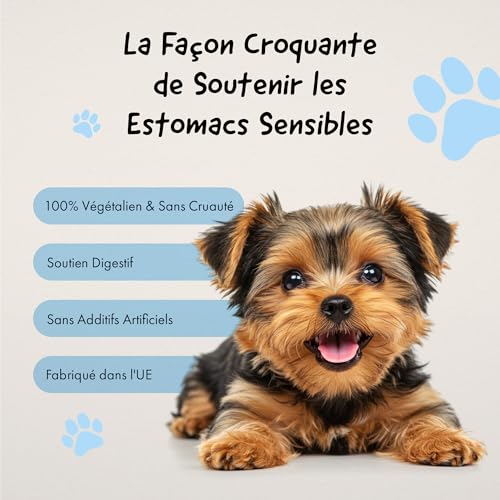 Belly® Biscuits Charbon Actif Chien -100g- 100% Végan - Réduit Gaz Malodorants, Anti Diarrhée Chien - Riche en Fibres, Graisses Végétales, Antioxydants, Vitamines, Minéraux - Activated Charcoal – Image 4