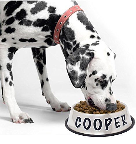 Personalized Dog Bowl –Customizable Pet Name 3D Print Design 32 Oz Stainless Steel Bowls With Anti-Skid Rubber Base For Food Or Water Perfect Dish For Dog Puppy Cat And Kitten #TOP2