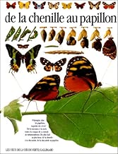 Download De la chenille au papillon PDF