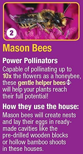 Miniatura 7 de Nature's Way Bird Products 066465 Cwh8 Deluxe Insect House