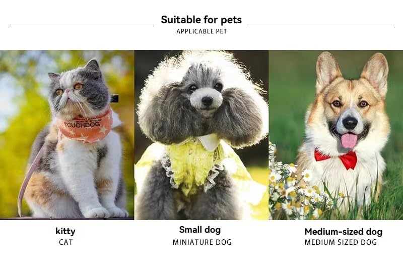 Collier de perles pour chat confortable réglable strass anti irritation - 2