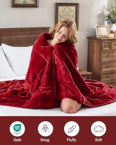 Super Fuzzy Soft Sherpa Fleece Weighted Blanket, 20 lbs Dual Sided Fluffy Heavy Weighted Blankets for Adults - No Bunching with Double Layers of Soft Inner Lining (60"x 80", 20 Pounds)