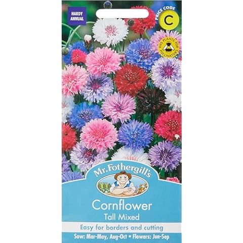 Mr Fothergill's Tall Mixed Cornflower Seeds Cover