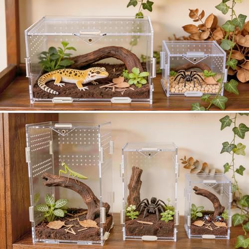Image of Portable Travel Jumping Spider Enclosure, Acrylic Terrarium for Spider, Magnetic Lock Spider Habitat & Small Terrarium Ventilated for Tarantula,Mantis,Frog,Insect Enclosure cage (4.7x4.7x7.9 Inch)