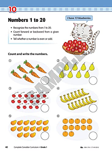Complete Canadian Curriculum 1 (Revised & Updated): A Grade 1 integrated workbook covering Math, English, Social Studies, and Science - Image 5
