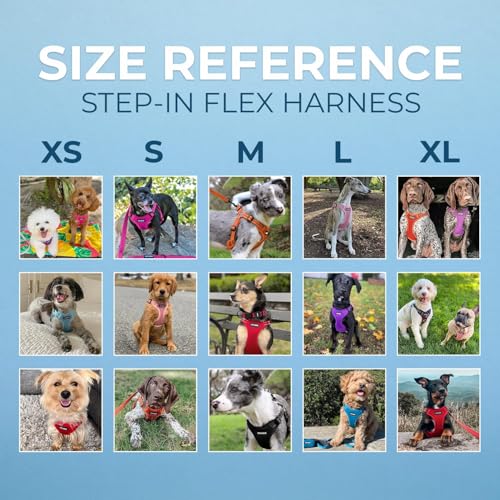 Voyager Pettorina per Cani Regolabile con Strisce Riflettenti by Best Pet Supplies - Resistente e Traspirante, con Anello a D per Guinzaglio, Nero, M