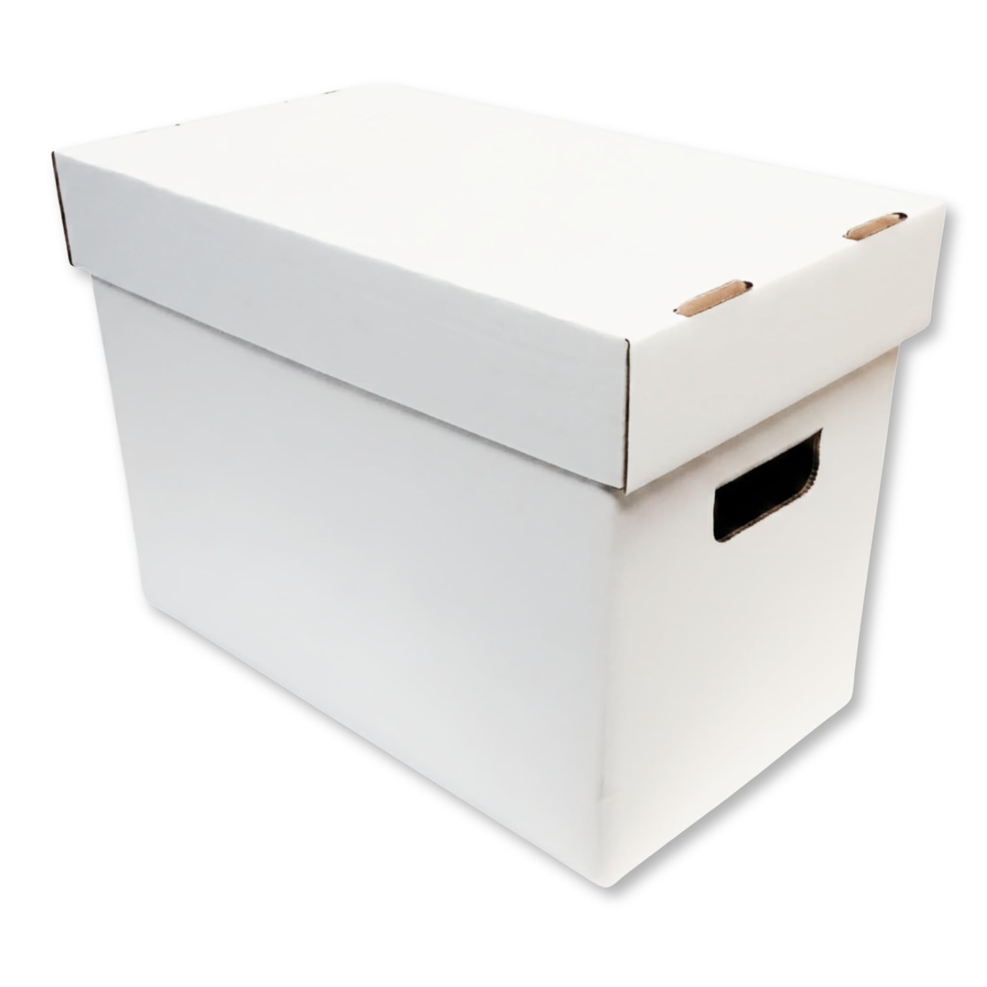 Max Protection Magazine Storage Boxes with Lids - Heavy Duty, 1 Pack