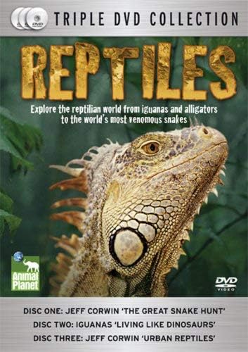 Reptiles [DVD]: Amazon.co.uk: DVD & Blu-ray