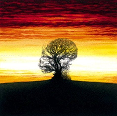 Unfolded Like Staircase