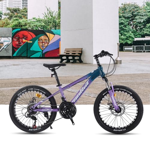 CYBIC 20 Inch Mountain Bike for Boys Girls, Youth MTB Bicycle 21 Speeds Iron Frame Bicycle, Multiple Colors (Purple)