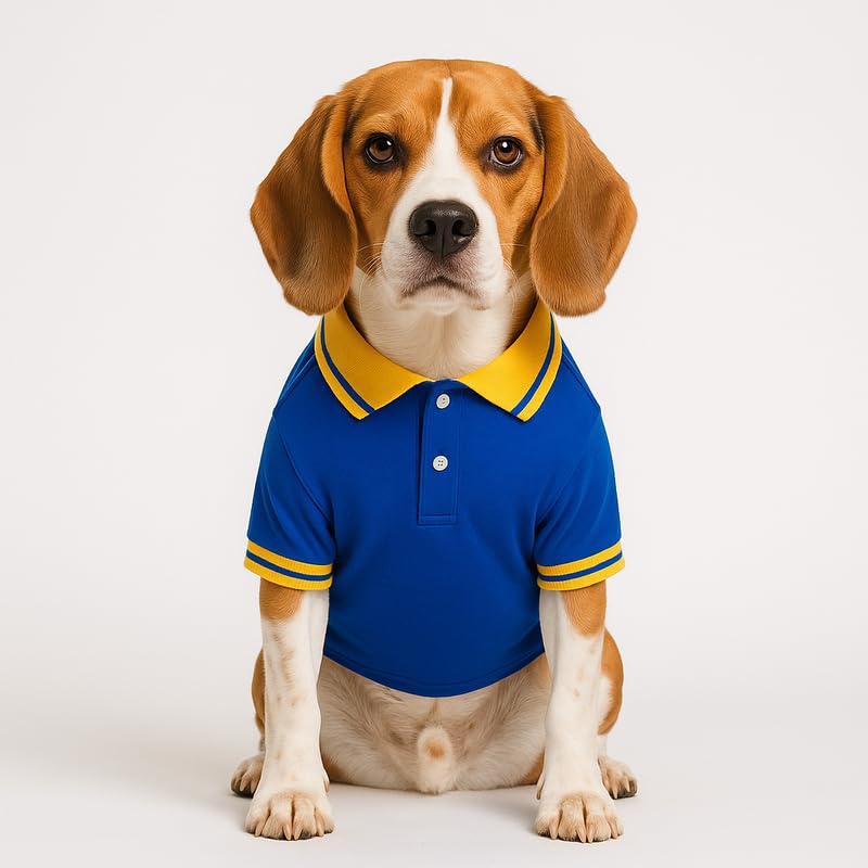 Image of Thunder Tails Premium Cotton Polo Dog T-Shirt | for Medium Dogs | Royal-Yellow | 2XL | for Cocker Spaniel, Hound, Beagle & Corgi