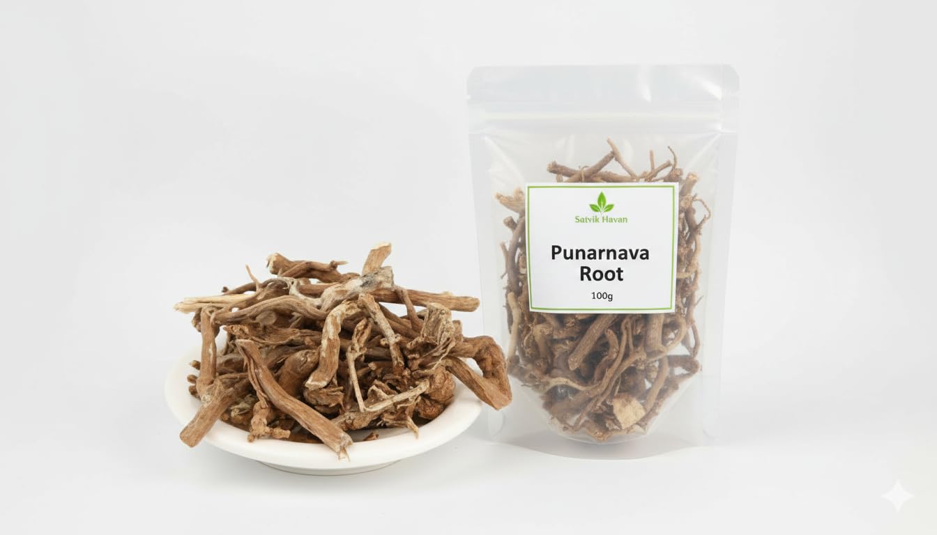 Punarnava Root – Ayurvedic herb