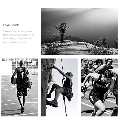 Aokadute 4/7/8 Pairs No Show Ankle Compression Socks For Men Women Athletic Sports Low Cut Running Socks (4 Pairs,Us,Alpha,Large,Regular,Regular) #TOP6