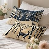 Kissenbezug 25x45cm 2er Set AprikoseBlau Kissenbezug Samt, Kissenhülle Winterdeko Geeignet Für Decoration Sofa Und Schlafzimmer Wohnzimmer Geeignet Für Home Winterdeko Schlafzimmer Wohnzimmer 0q-524