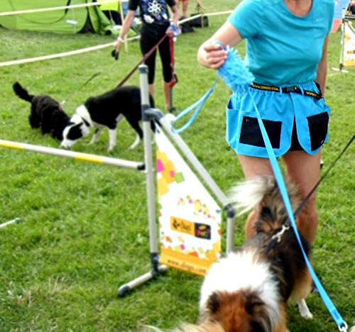 Dingo Trainingsgürtel, Sport, Agility, Apportieren, Gehorsam, Leinenführung, Nasenarbeit, Verhaltenstraining, Trainer Gürtel mit vielen Taschen Violett Große XL 16465-2